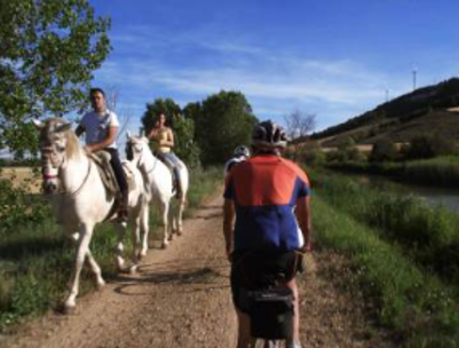 A trail hello Equestrians and bikers moving along the same trail, slowly, in different directions.