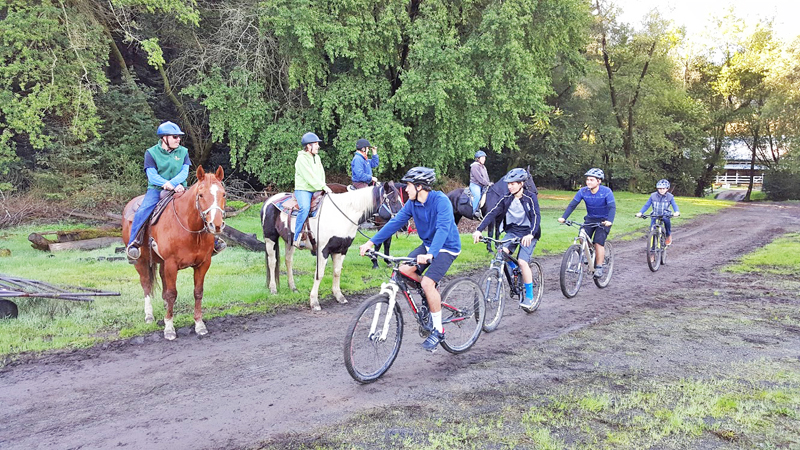 Tails and Tires - 4 equestrians on a trail, stopped while 4 bikers ride by slowly.
